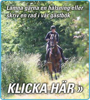 Skriv en rad i vår gästbok